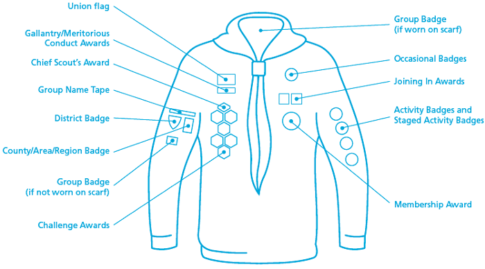 Diagram of Beaver sweatshirt showing the position of the badges