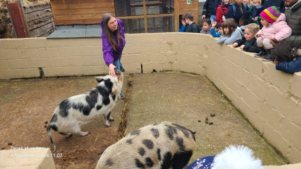 224 north london beaver farm visit