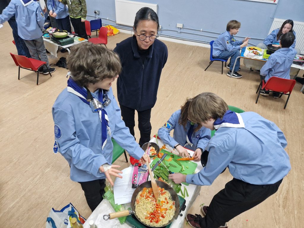 parent rota scouts